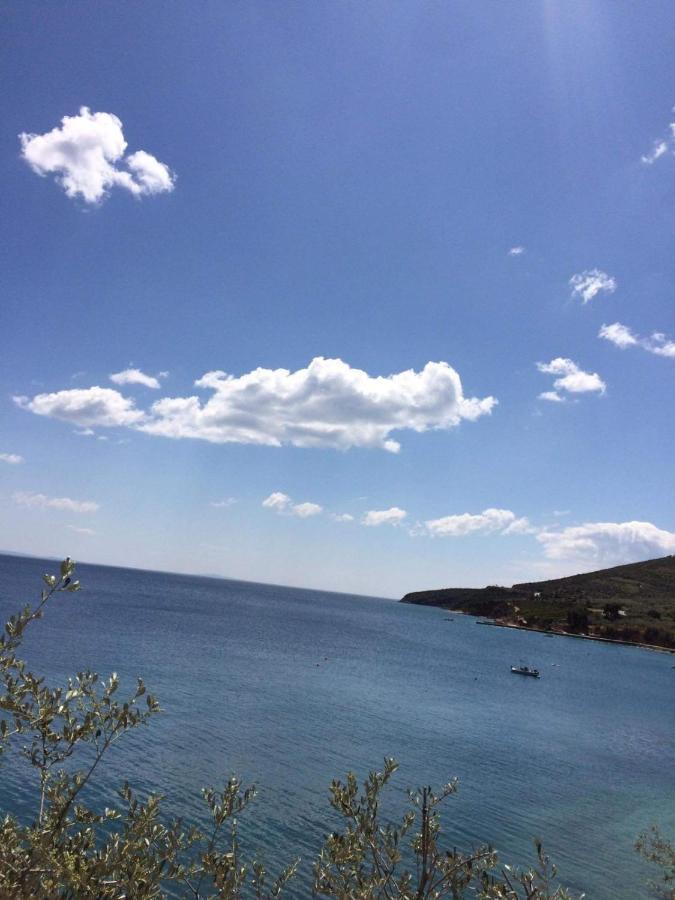 Seaside Apartment زيروبيغادو المظهر الخارجي الصورة